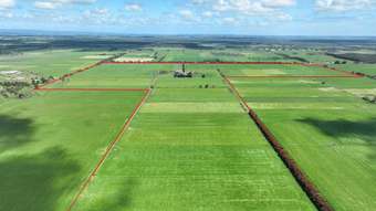 Farm Property for Sale - 97 Carpendeit-Bungador Road Carpendeit VIC 3260