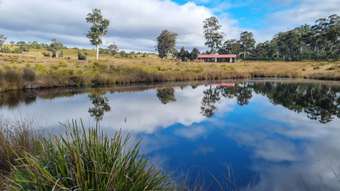 Farm Property for Sale - Lot 1, 2 & Wellwood Road Osterley TAS 7140