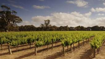 Farm Property for Sale - 193 Richmore Road Milang SA 5256