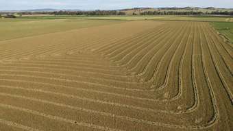 Farm Property for Sale - 1022 Rivers Road Canowindra NSW 2804