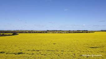 Farm Property for Sale - 1715 Savage Road Esperance WA 6450