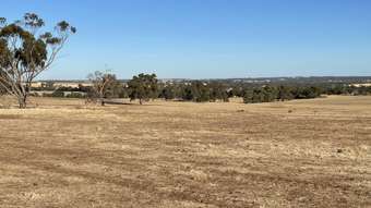Farm Property for Sale - . Tarwonga Road &amp; Highbury West Road Narrogin WA 6312