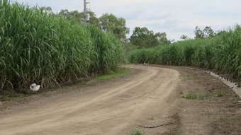 Farm Property for Sale - Ayr QLD 4807