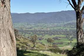  Reid Lane Gundowring VIC 3691
