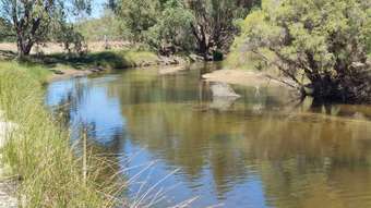 Farm Property for Sale - 250 Nabaroo Road Cowalla WA 6503