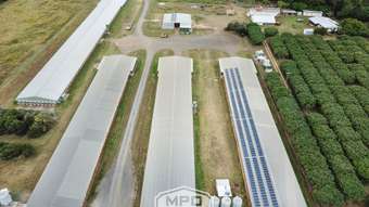 Farm Property for Sale - 1004 Bilwon Road Biboohra QLD 4880