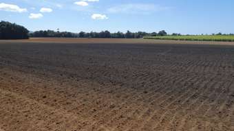 Farm Property for Sale - Sandy Pocket QLD 4871