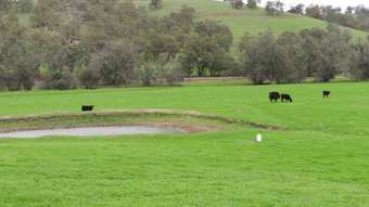 Farm Property for Sale - Lot 939 Chittering Road Lower Chittering WA 6084