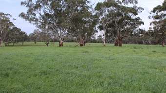 Farm Property for Sale - 110 Troups Road Glenfyne VIC 3266