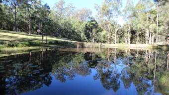 Farm Property for Sale - 264 Crowther Drive Kundabung NSW 2441