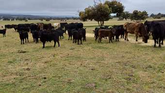 Farm Property for Sale - 1564 Edison Mill Road Dale WA 6304