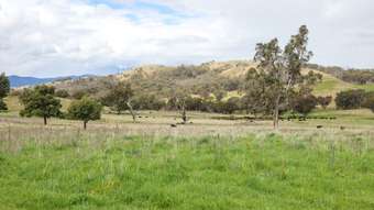 Farm Property for Sale - Wongabina Monteray Rd Loomberah NSW 2340