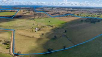 Farm Property for Sale - 304 Norah Creek Road Molong NSW 2866