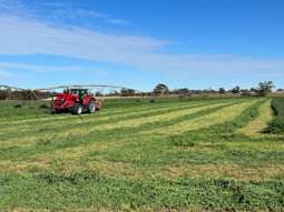 Farm Property for Sale - 9653 Dukes Highway Tintinara SA 5266