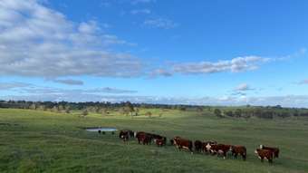 Farm Property for Sale - 102 Matthews Road Eden Valley SA 5235
