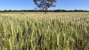 Farm Property for Sale - . Parker Range Road Moorine Rock WA 6425