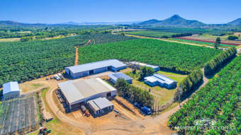 737 Channel Road Walkamin QLD 4872