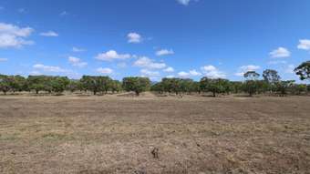 Farm Property for Sale - 42 Bartlett Road Horseshoe Lagoon QLD 4809