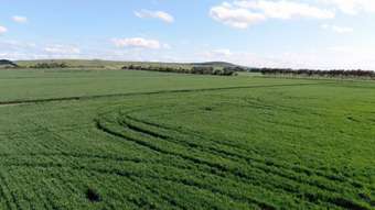 Farm Property for Sale -  Gnarwarre Road Inverleigh VIC 3321