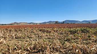 Farm Property for Sale - . Duri Winton Rd Winton NSW 2344