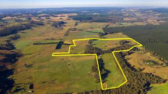 Farm Property for Sale - 510 Chatham Valley Road Chatham Valley NSW 2787
