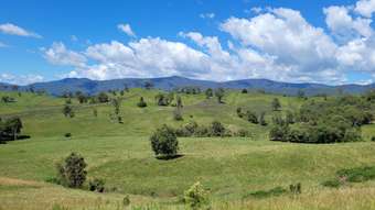 Farm Property for Sale - 472 Neringla Road Neringla NSW 2622