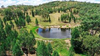 Farm Property for Sale - Lot 1 Nyora Road Leyburn QLD 4365