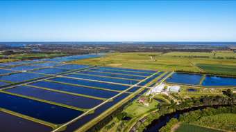 Farm Property for Sale - 561 North Bank Palmers Chanel Palmers Island NSW 2463