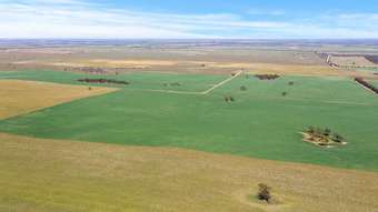 Farm Property for Sale - 769 Heym Road Wynarka SA 5306