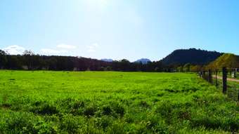 Farm Property for Sale - 1124 WARKTON ROAD Coonabarabran NSW 2357