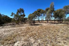 Farm Property for Sale - 70 Eucy Road Korong Vale VIC 3520