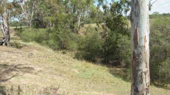 Farm Property for Sale - 1440 Leyburn Forestry Road Thanes Creek QLD 4370