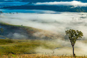 81 Kia Ora Hill Road, Bowman Farm VIA Gloucester NSW 2422