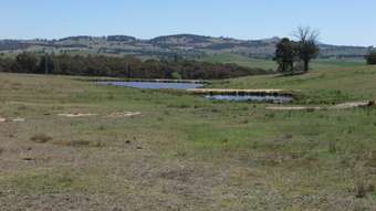Farm Property for Sale - Orange NSW 2800