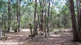 Farm Property for Sale - 50 Possum Ridge Road Yeodene VIC 3249