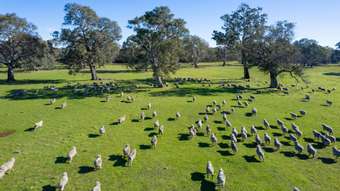 Farm Property for Sale - 252 Wannon Nigretta Road Wannon VIC 3301