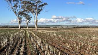 Farm Property for Sale - . &amp;apos;Millers East&amp;apos; Bruce Rock WA 6418