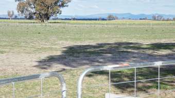 Farm Property for Sale - 355 Old Hamilton Road Haven VIC 3401