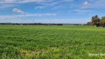 Farm Property for Sale - "Neym Neymerup Road Kojonup WA 6395