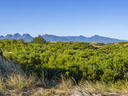 830 Dolphin Sands Road Dolphin Sands TAS 7190