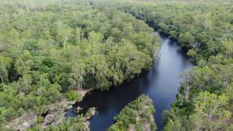 Farm Property for Sale - 3037 Mulligan Highway Cooktown QLD 4895