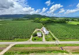 Farm Property for Sale - 192 Walter Lever Estate Road Walter Lever Estate QLD 4856