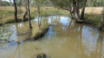 Farm Property for Sale - 400 Phillips Swamp Road Busbys Flat NSW 2469