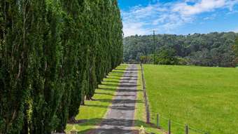 Farm Property for Sale - 470 Larrys Mountain Road Mogendoura NSW 2537