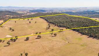Farm Property for Sale - Lot 1 Fragar Road (Part 'Lowanna') Cowra NSW 2794