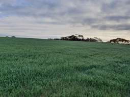 1719 New Well Road Waikerie SA 5330