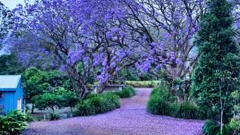 Farm Property for Sale - 457 Summervilles Road Bellingen NSW 2454