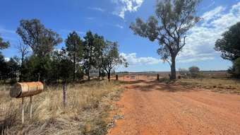 Farm Property for Sale - 489 West Milby Road Tullibigeal NSW 2669
