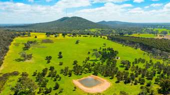 Farm Property for Sale - 267 Dundas Gap Road Cavendish VIC 3314