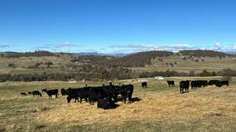 Farm Property for Sale - 739 Tooma Road Tumbarumba NSW 2653